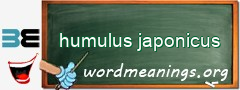 WordMeaning blackboard for humulus japonicus